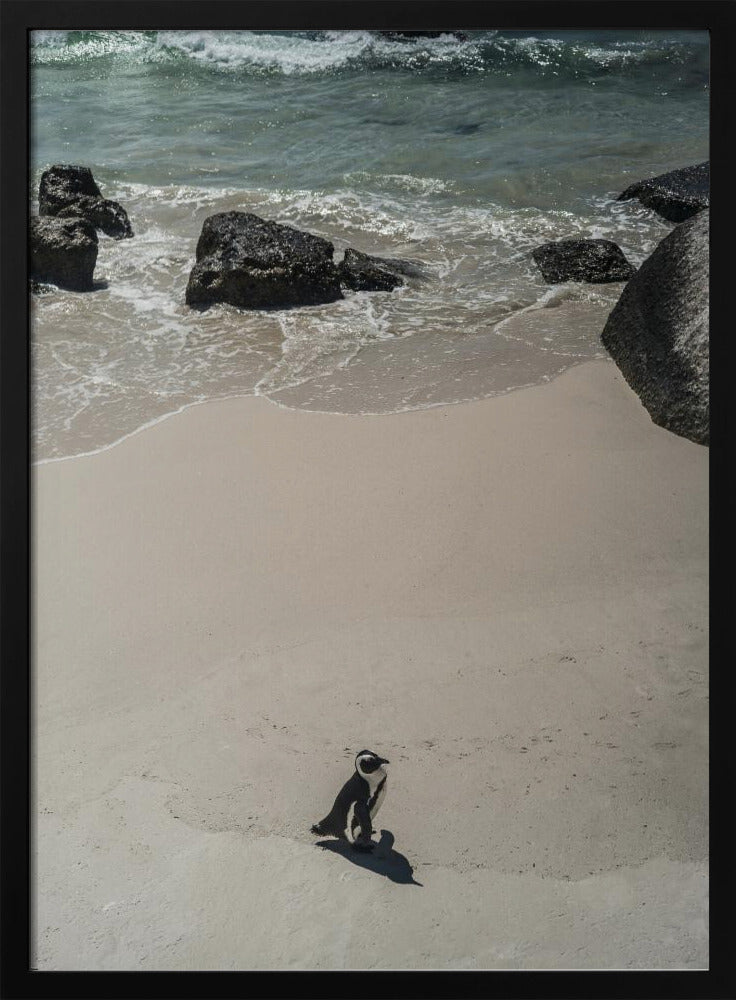 Lonely Beach Stroll | Poster