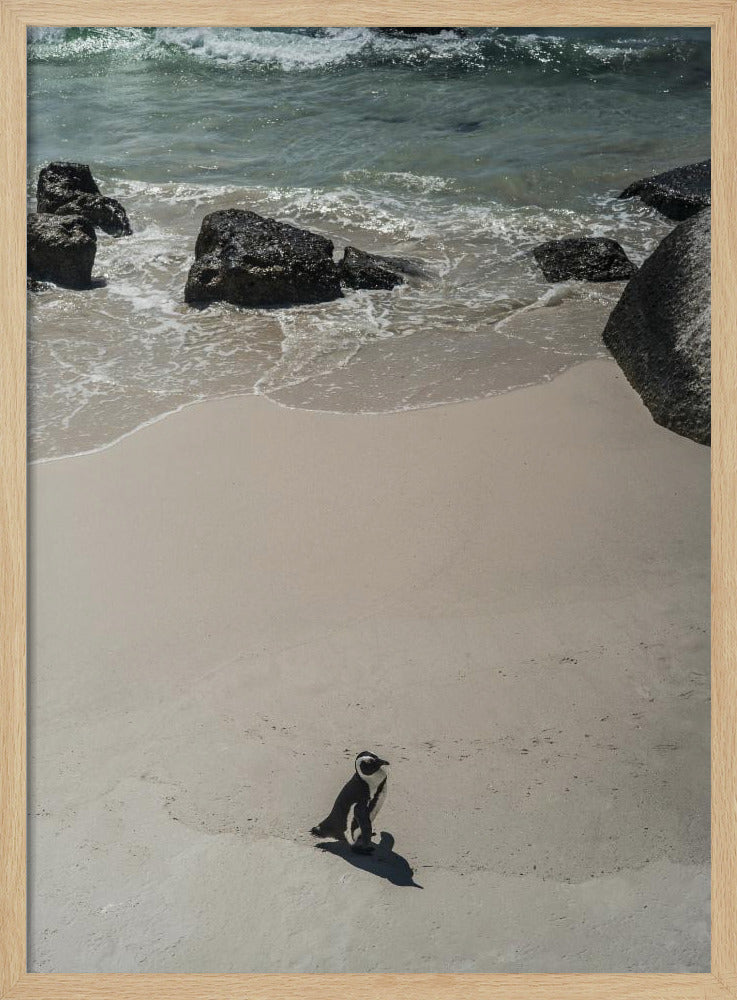 Lonely Beach Stroll | Poster