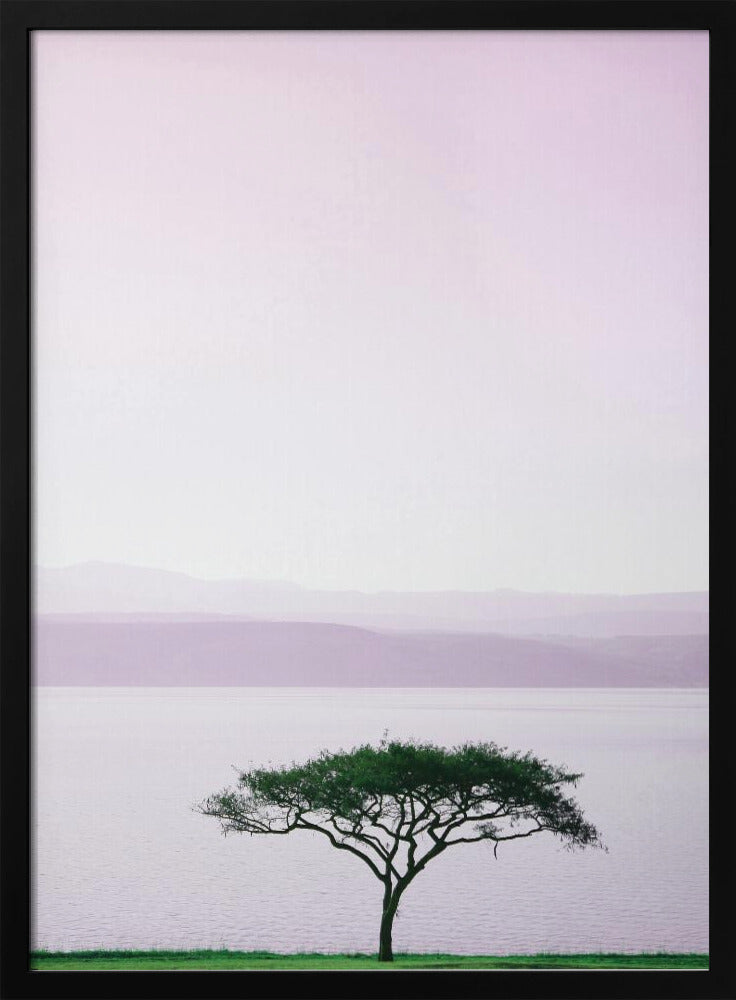 Tree By A Tranquil Lake | Poster