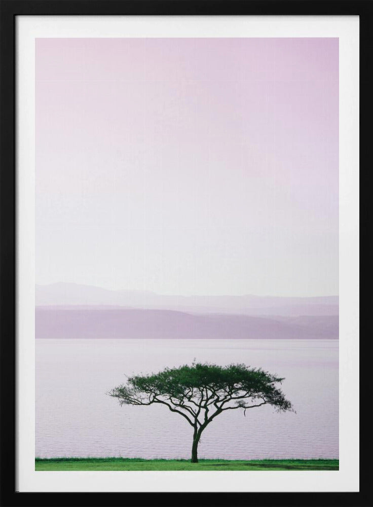 Tree By A Tranquil Lake | Poster