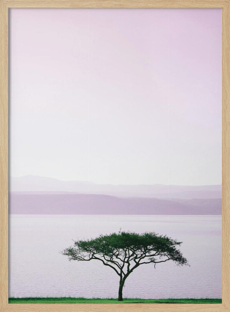 Tree By A Tranquil Lake | Poster