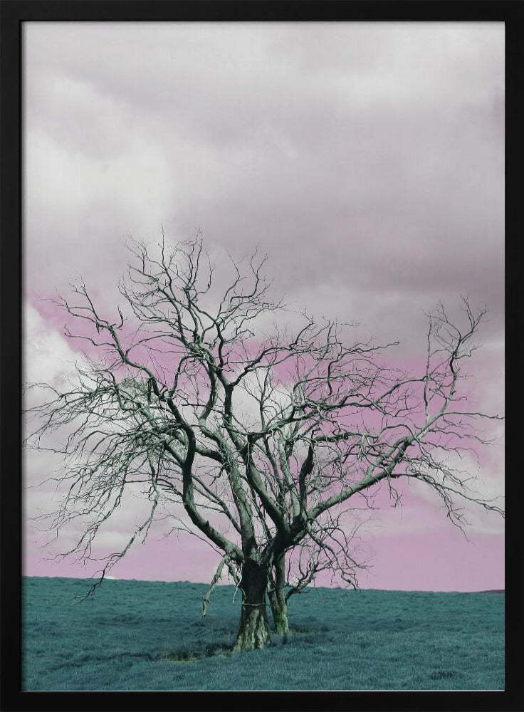 Barren Tree Against A Dreamy Pink Sky | Poster