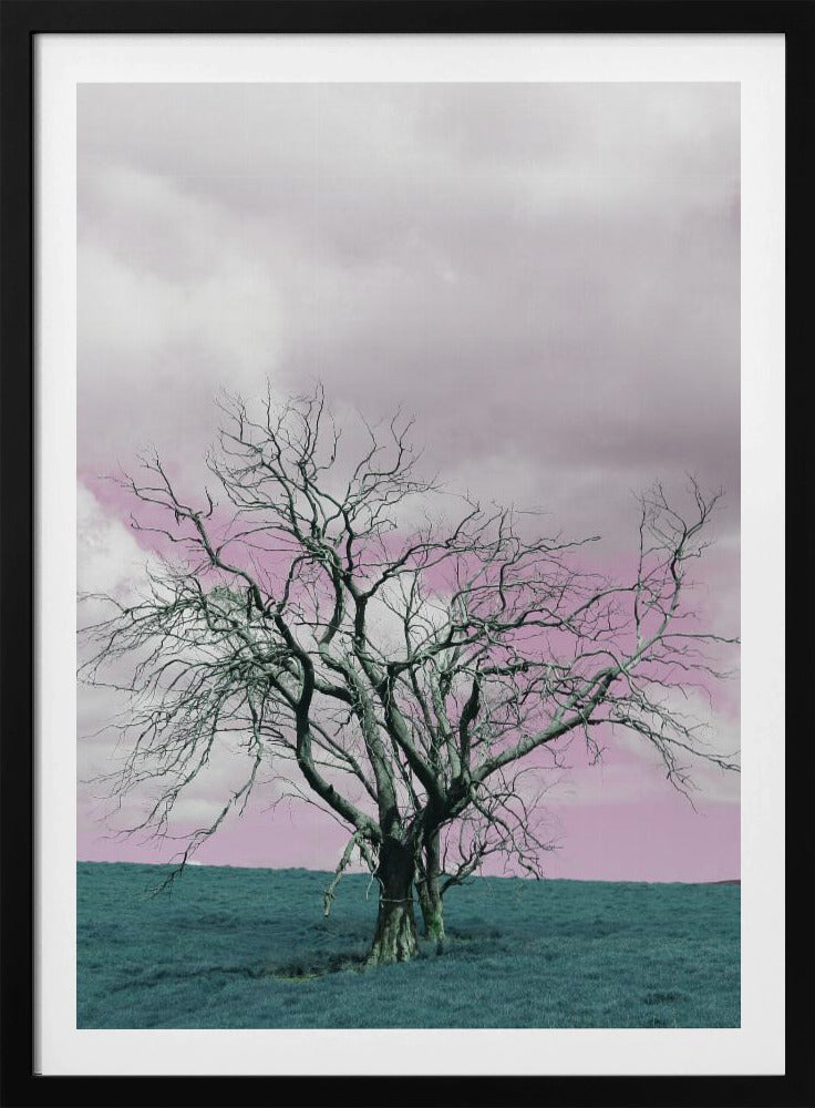 Barren Tree Against A Dreamy Pink Sky | Poster
