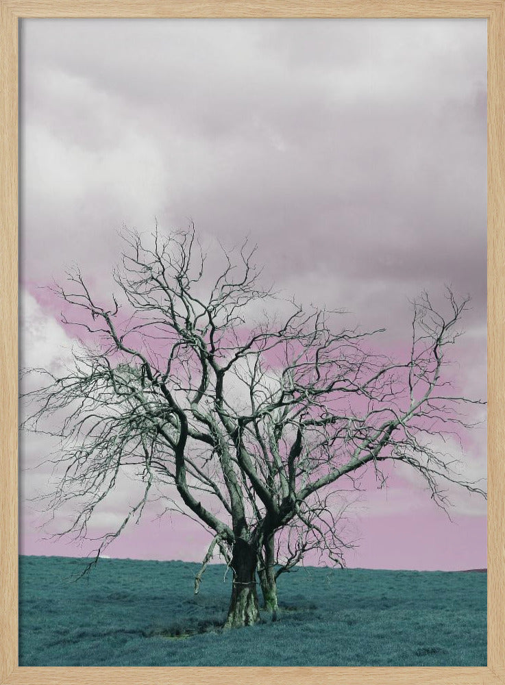 Barren Tree Against A Dreamy Pink Sky | Poster