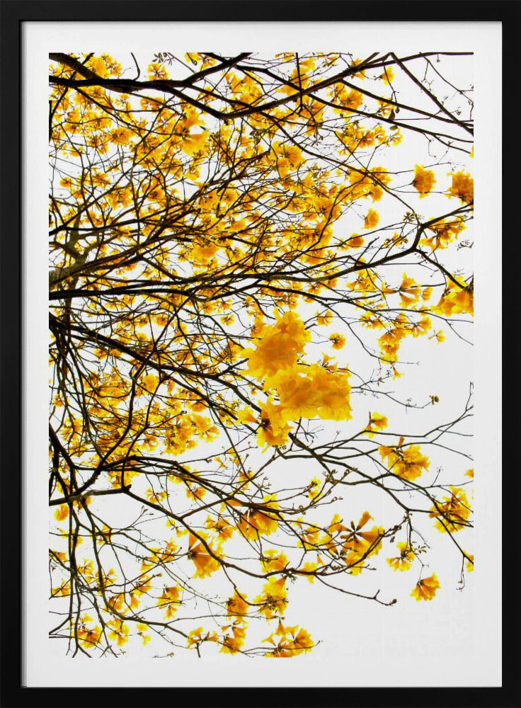 Golden Canopy Burst | Poster
