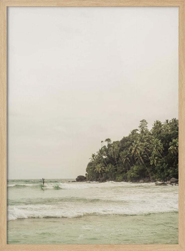 Tranquil Beach Scene With Lush Palm Trees | Poster