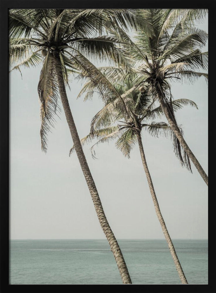 Ocean Breeze Palms | Poster