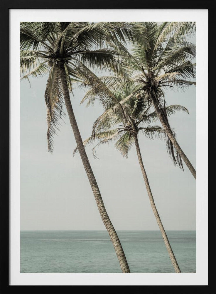 Ocean Breeze Palms | Poster