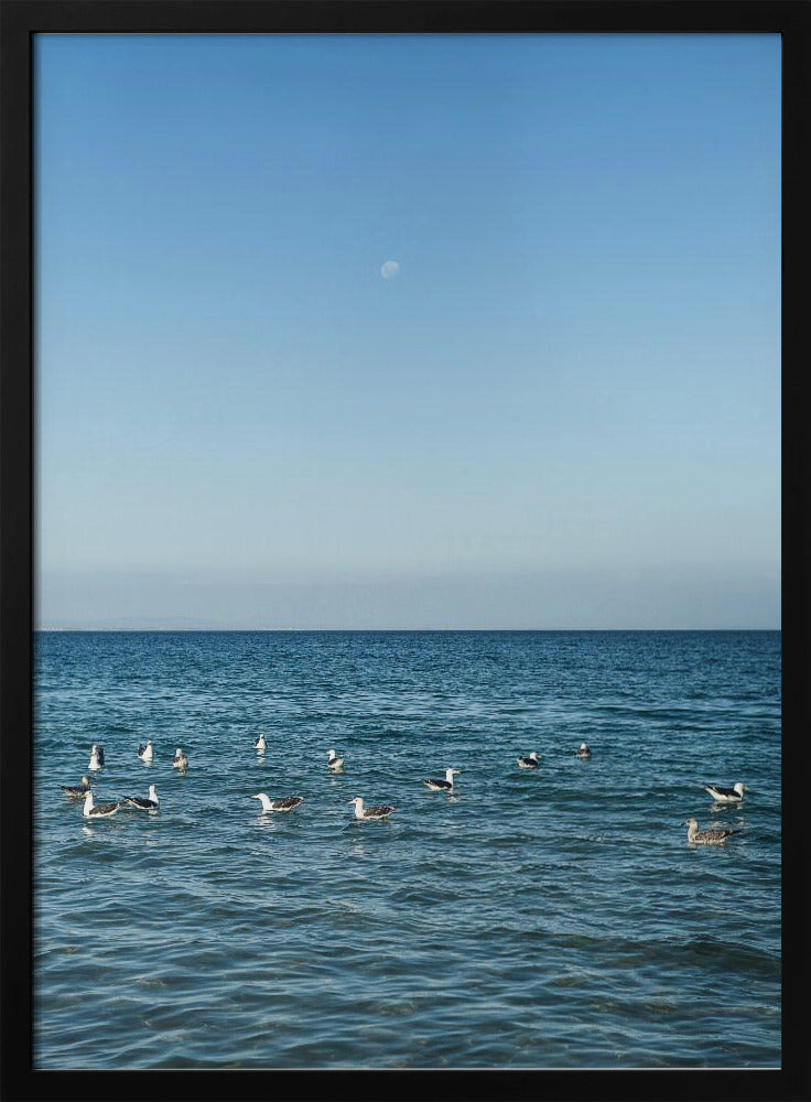 Moonlit Seabirds | Poster