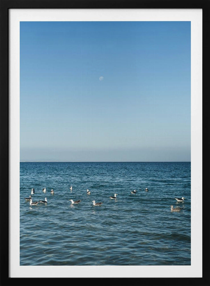 Moonlit Seabirds | Poster