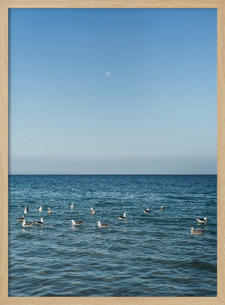 Moonlit Seabirds | Poster
