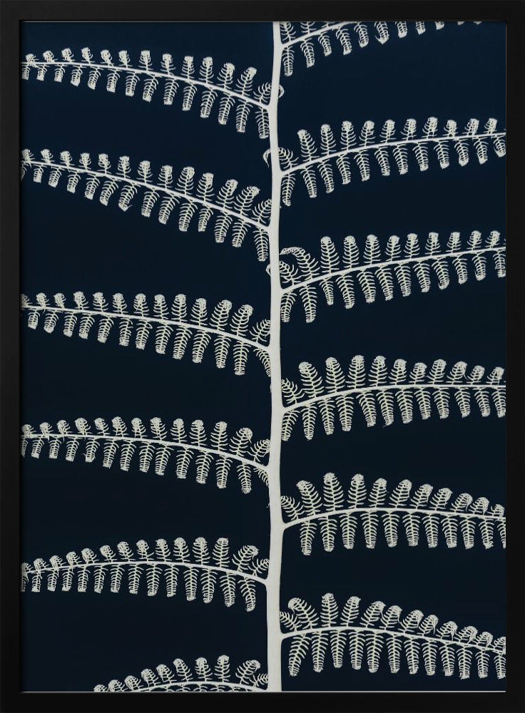 White Fern Patterns | Poster
