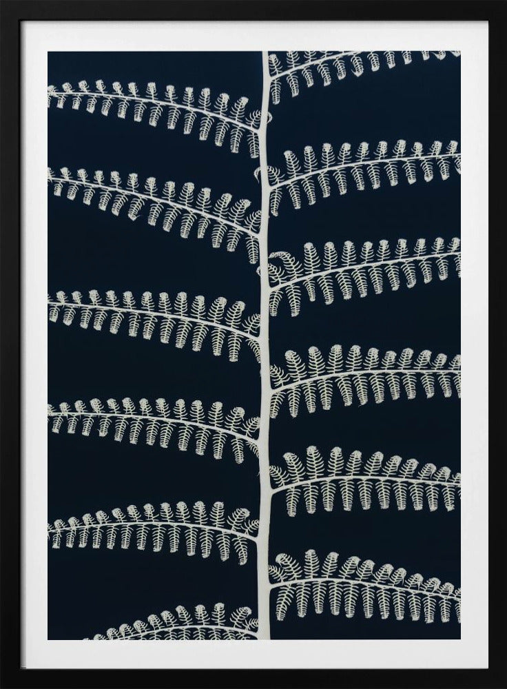 White Fern Patterns | Poster