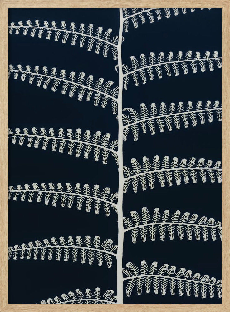 White Fern Patterns | Poster