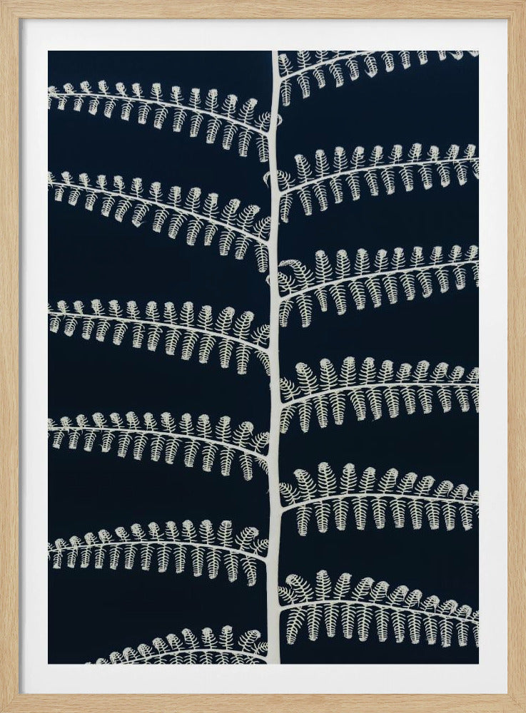 White Fern Patterns | Poster