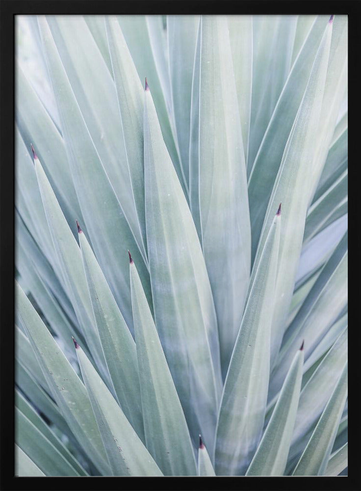 Azure Agave Dance | Poster
