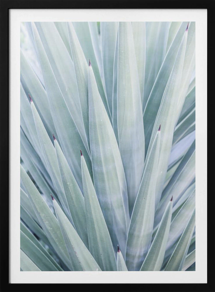 Azure Agave Dance | Poster
