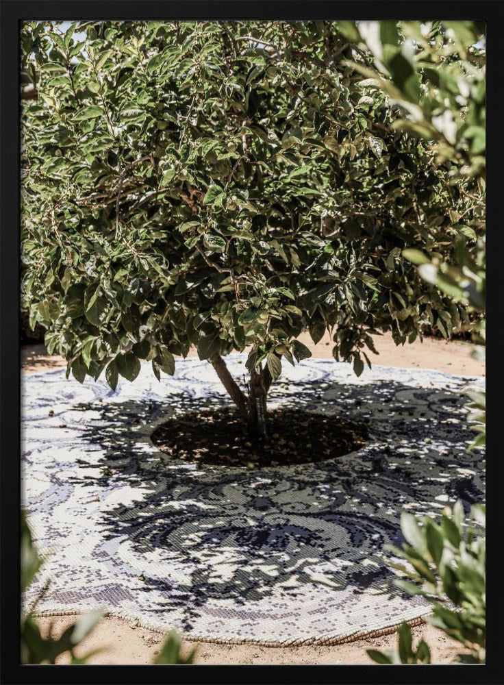 Vibrant Outdoor Installation | Poster