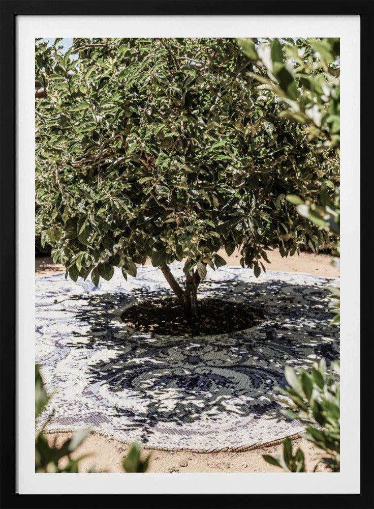 Vibrant Outdoor Installation | Poster