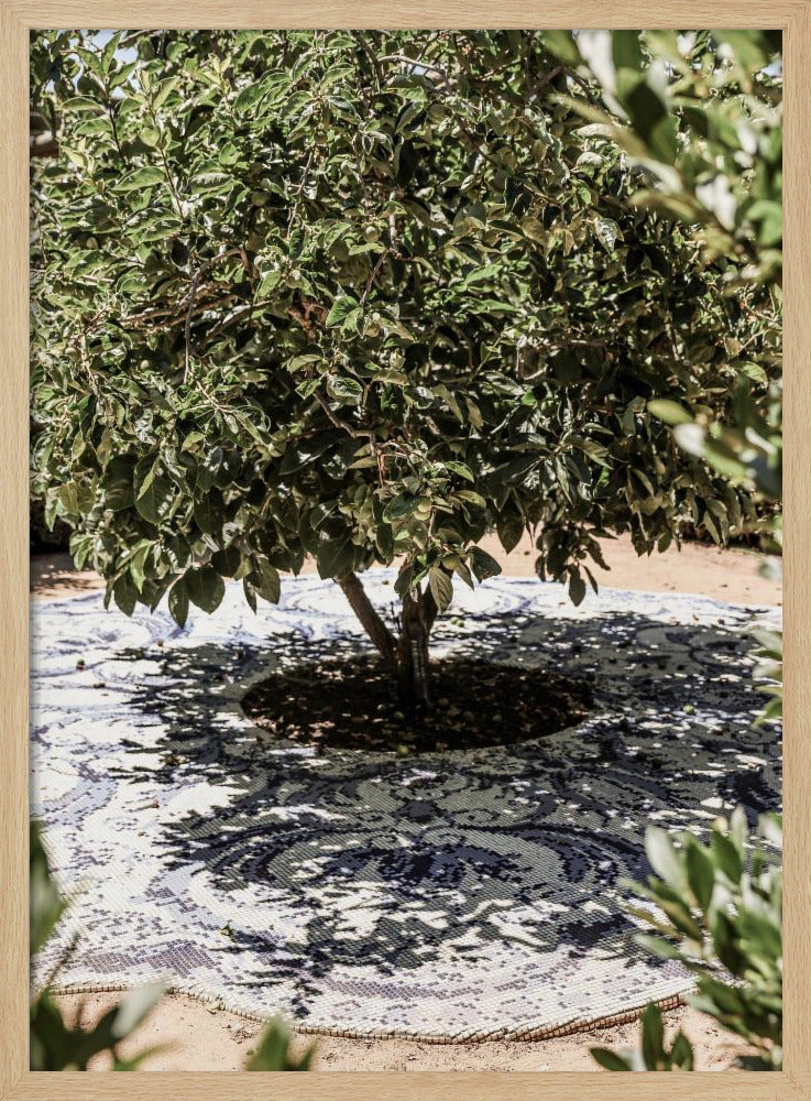 Vibrant Outdoor Installation | Poster