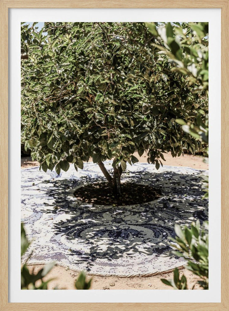 Vibrant Outdoor Installation | Poster