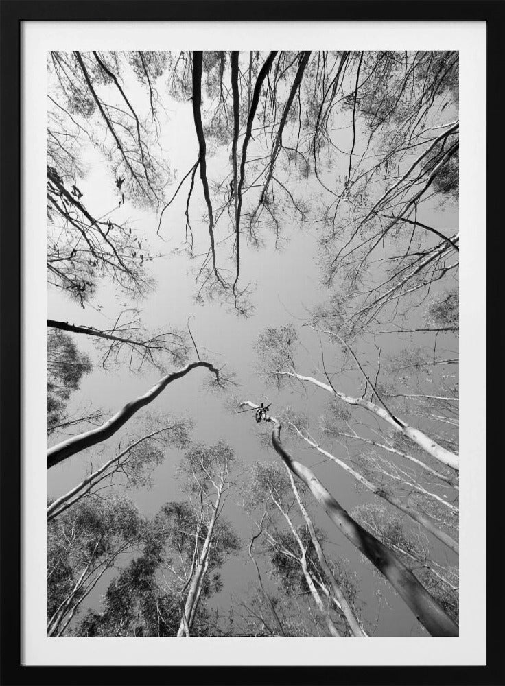 Skyward Symphony | Poster