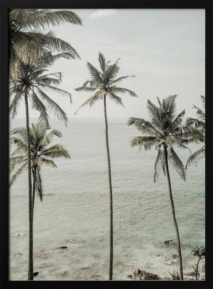 Tropical Dreams | Poster