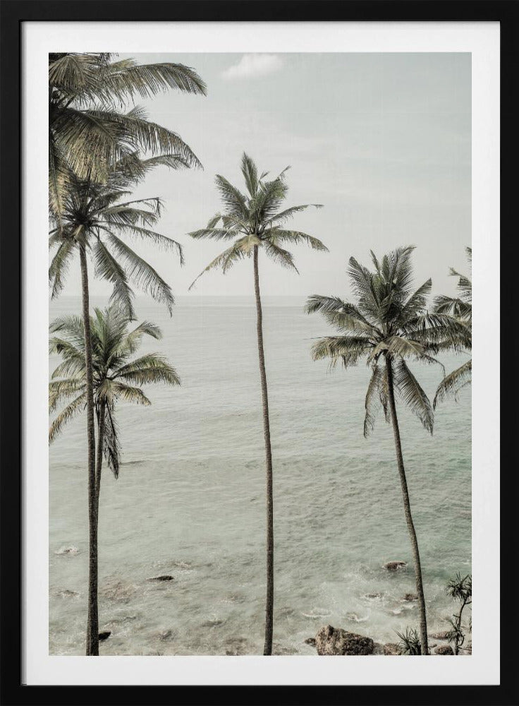 Tropical Dreams | Poster