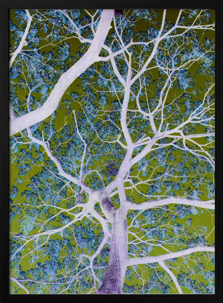 Surreal Branches | Poster
