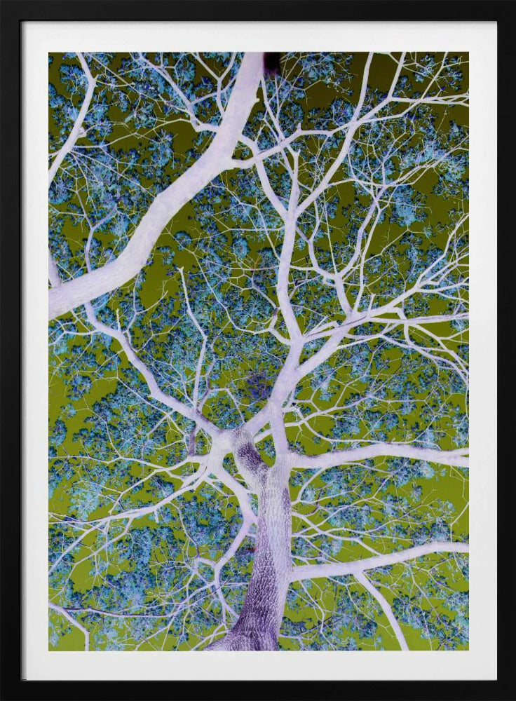Surreal Branches | Poster