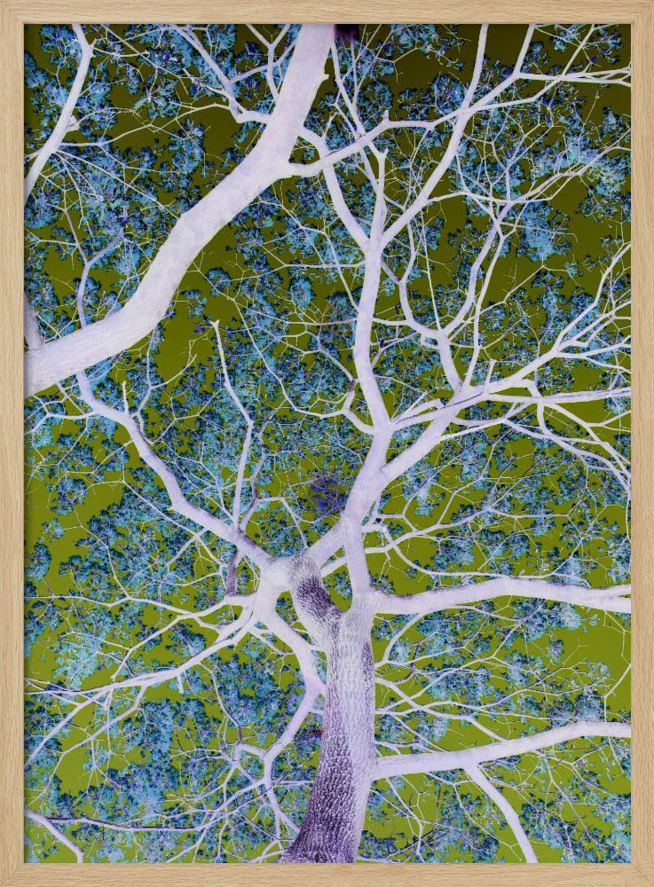 Surreal Branches | Poster