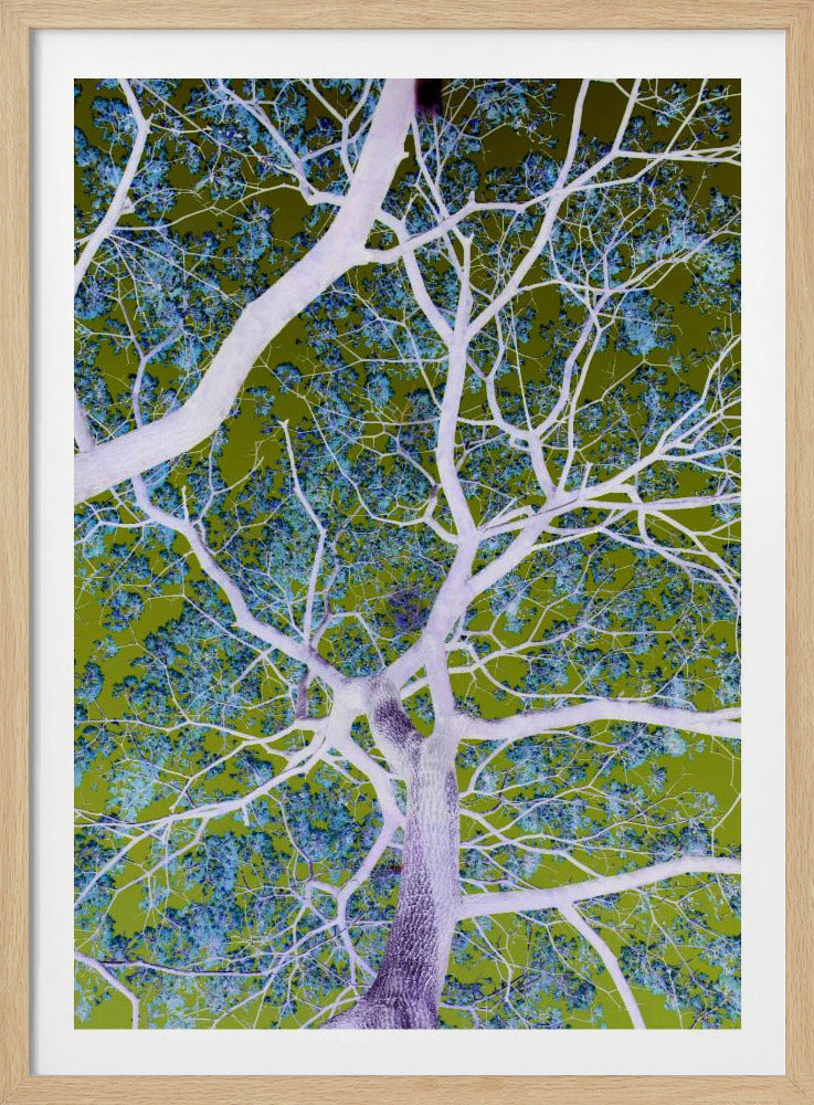 Surreal Branches | Poster