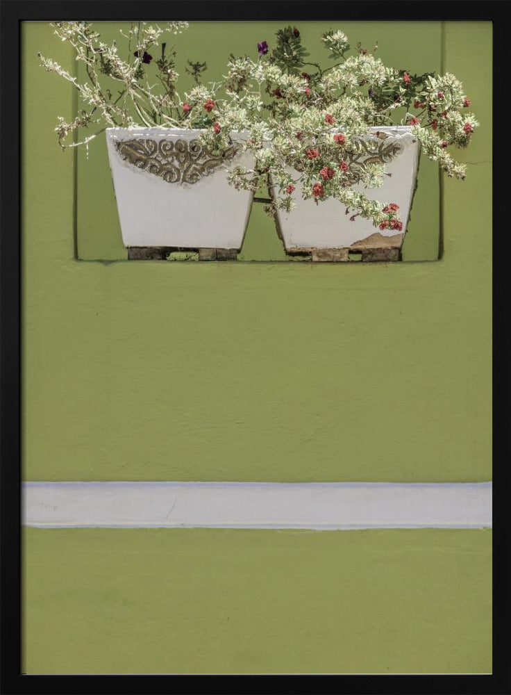 Wall Garden | Poster