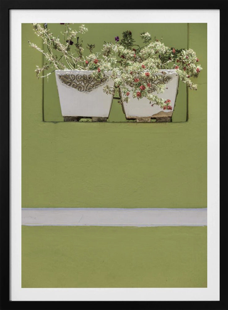 Wall Garden | Poster