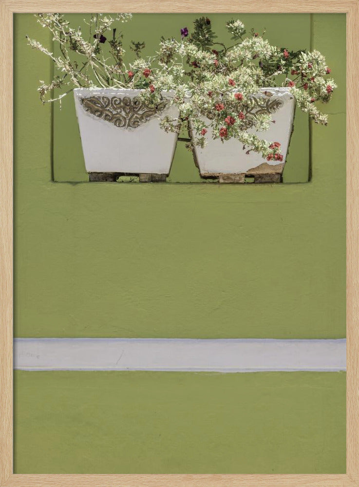 Wall Garden | Poster