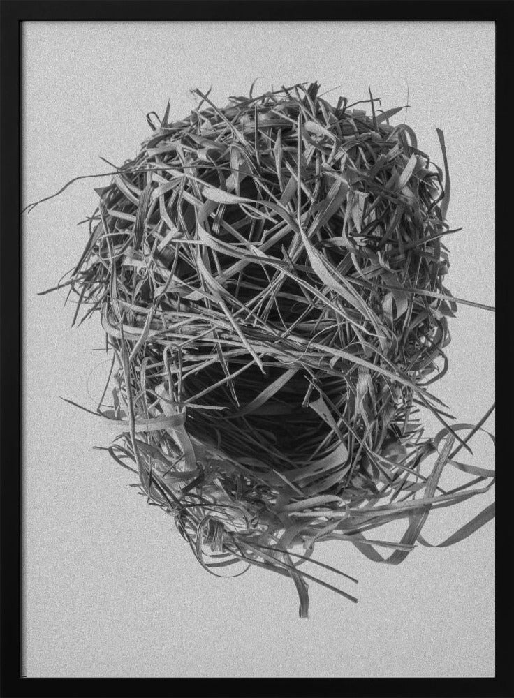 Weavers Nest | Poster