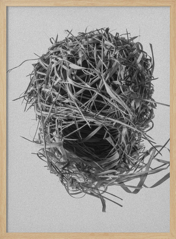 Weavers Nest | Poster