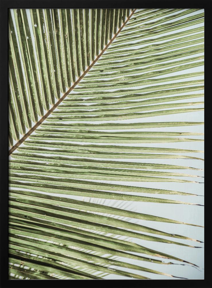 Intricate Pattern Of A Green Palm Leaf | Poster