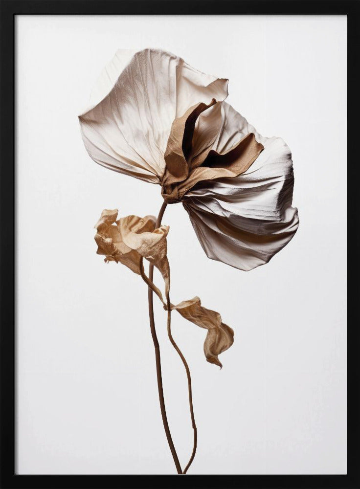 Whispering Petals | Poster