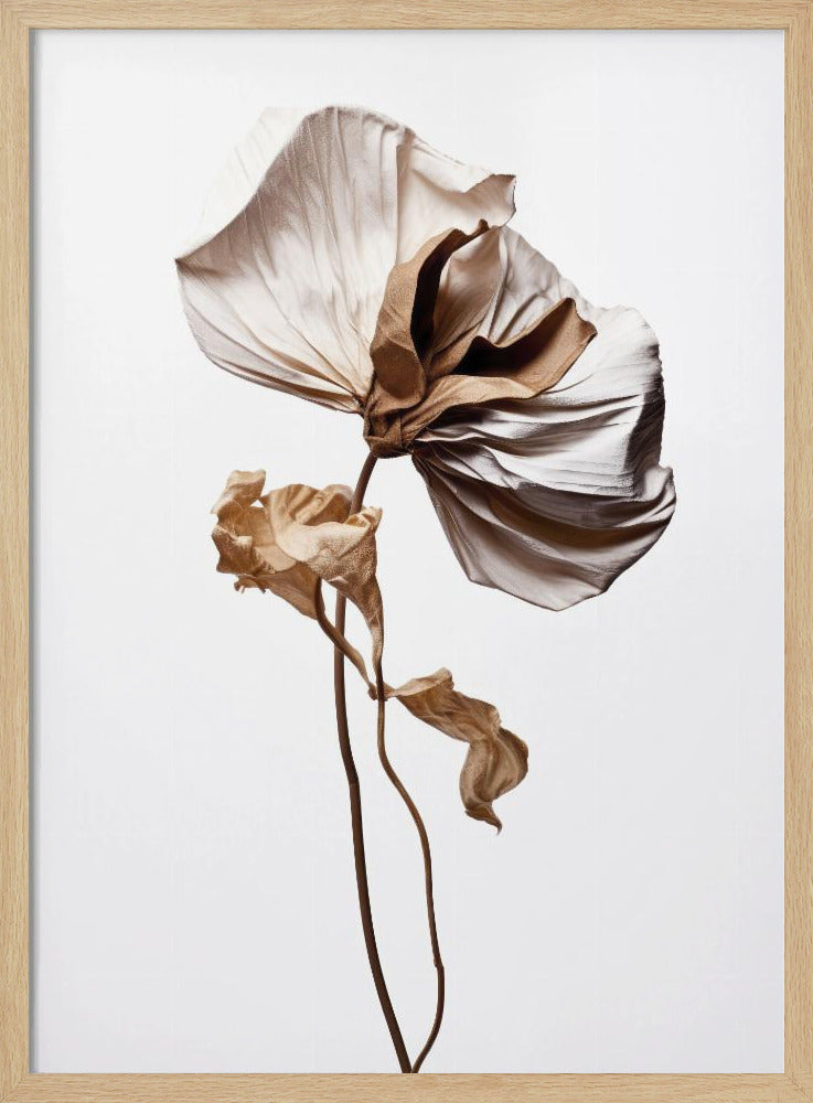 Whispering Petals | Poster