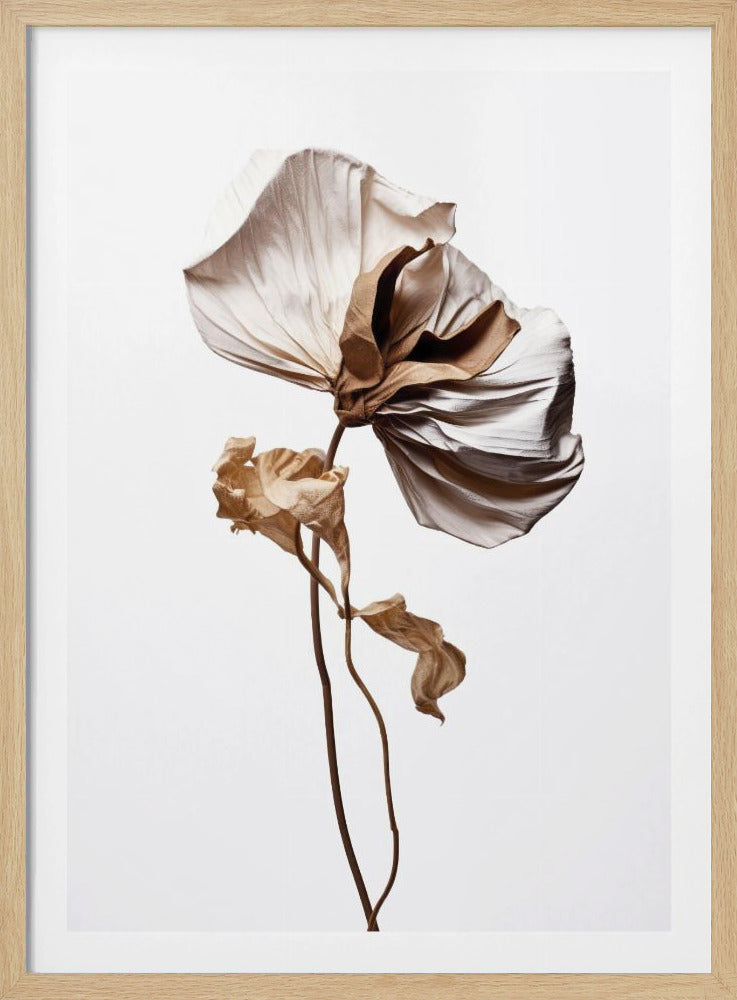 Whispering Petals | Poster