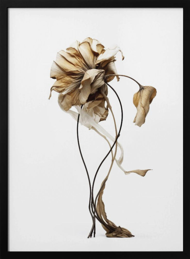 Wilted Elegance | Poster