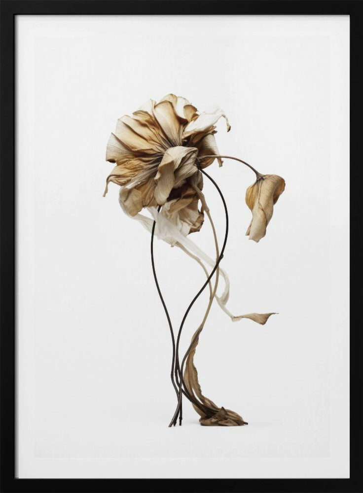 Wilted Elegance | Poster