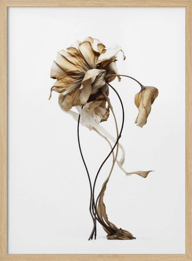 Wilted Elegance | Poster
