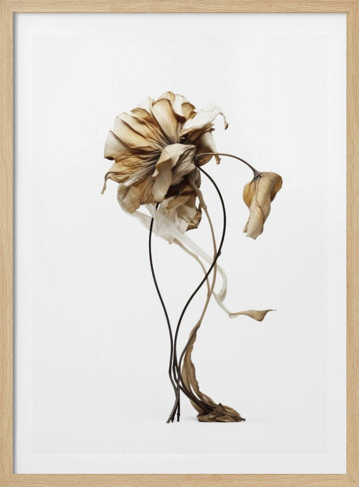 Wilted Elegance | Poster