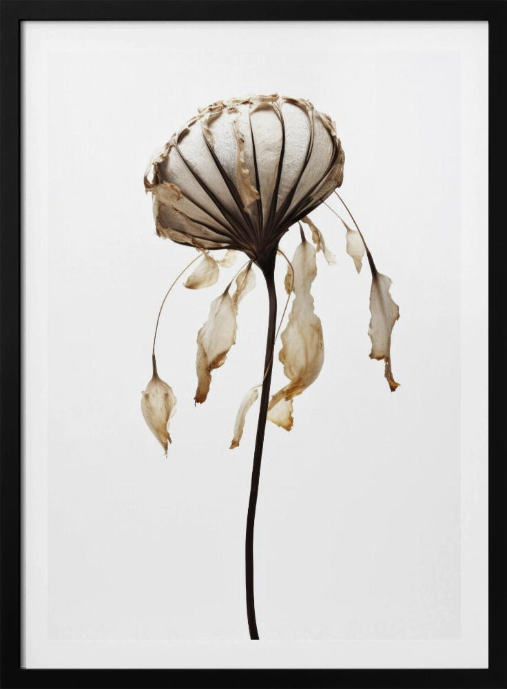 Withered Elegance | Poster