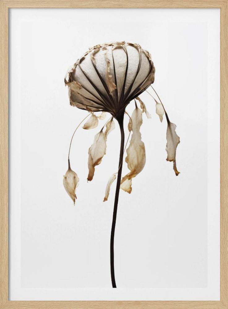 Withered Elegance | Poster