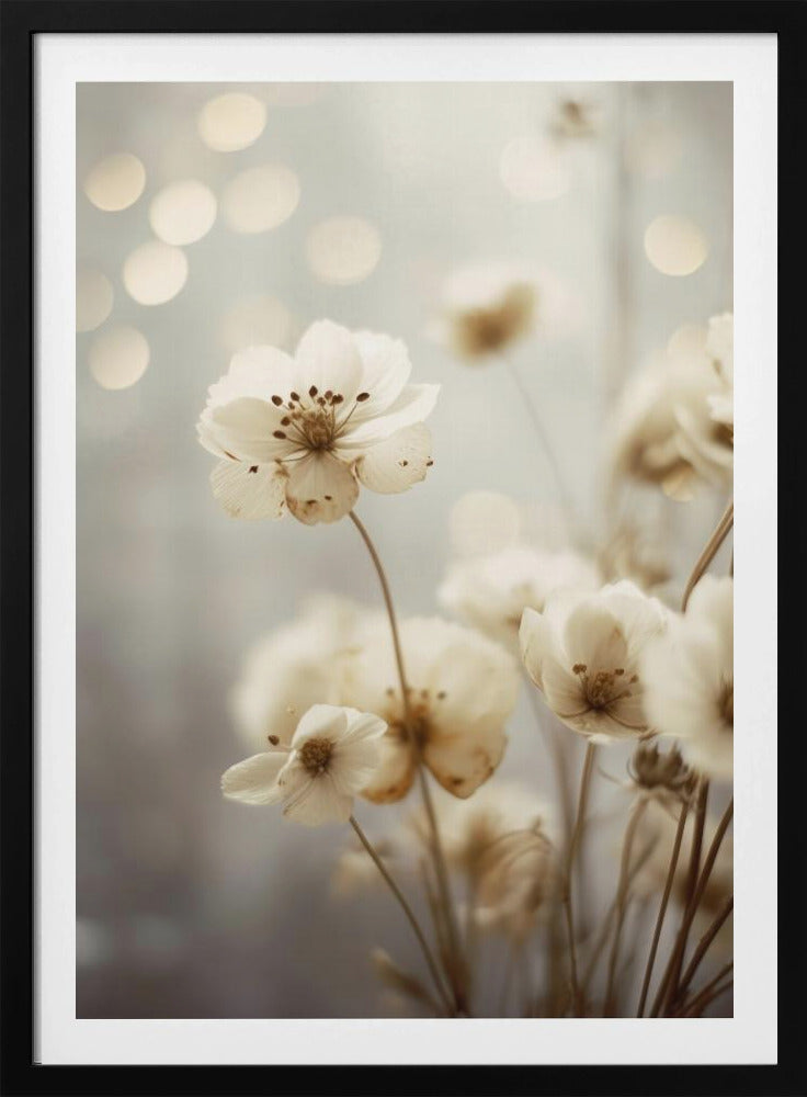 Petals in Soft Light | Poster