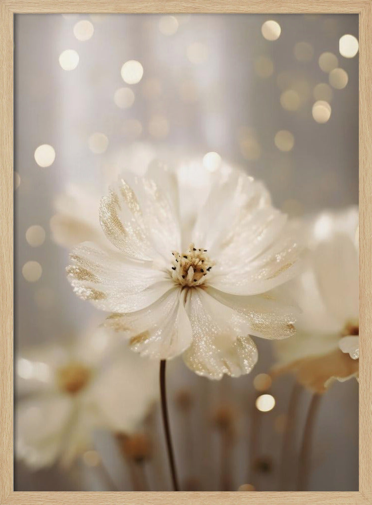 Glittering Petals | Poster