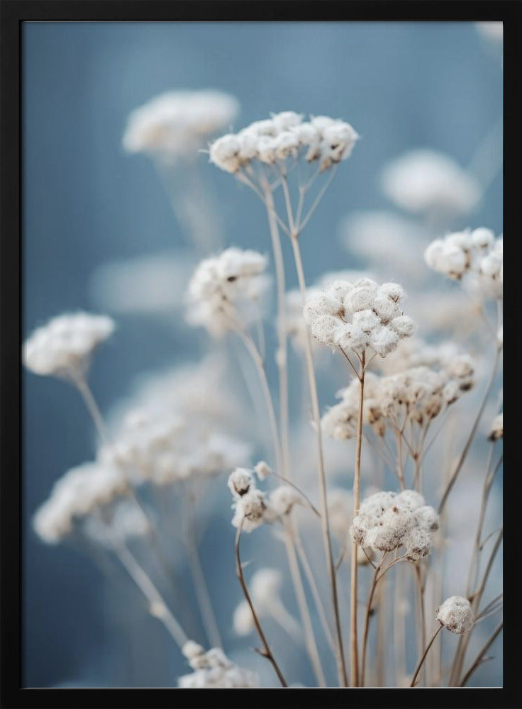 Delicate Whispers | Poster